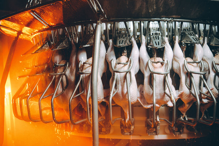 les aliments transformés  mauvais pour la santé, mauvais pour l'environnement