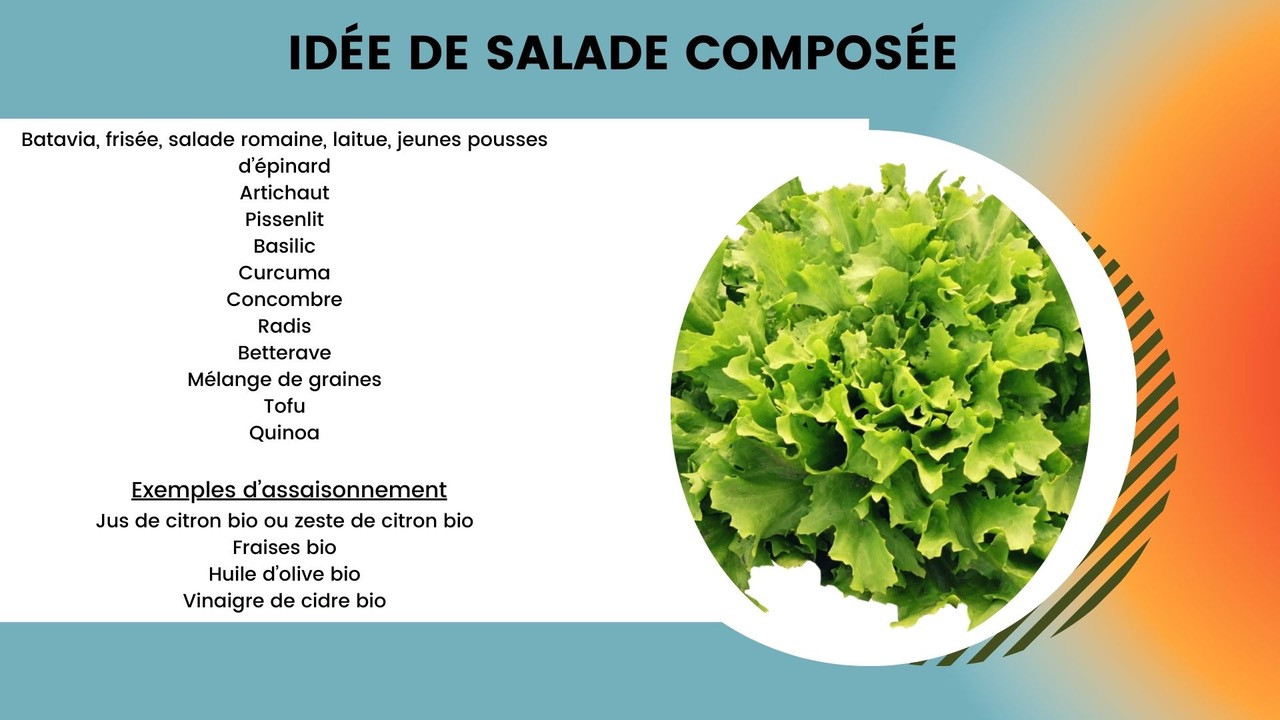 Mes idées de salades