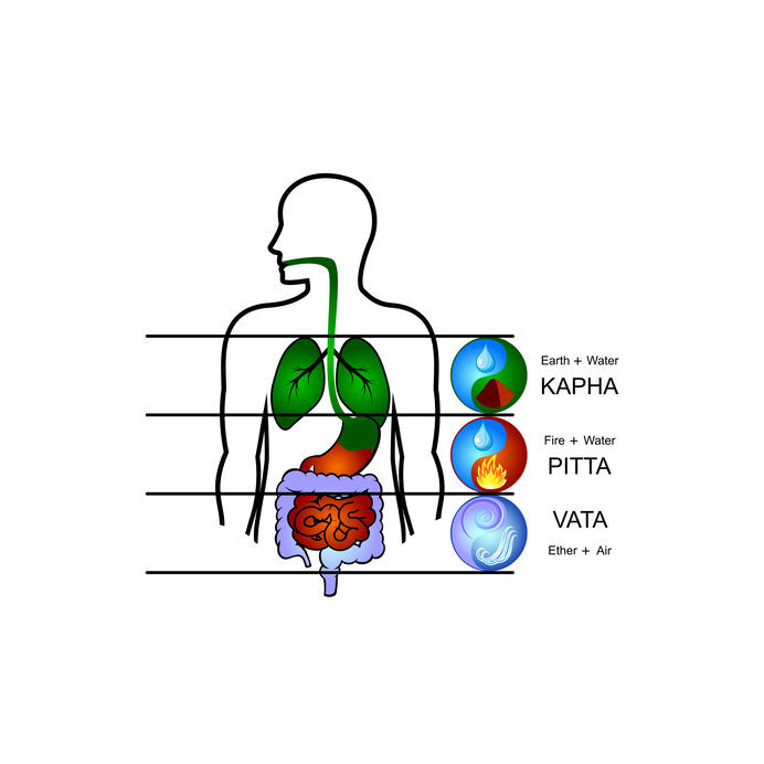 Ou se cache le dosha Pitta ? 