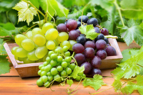 le raisin : profitez de toutes ses formes