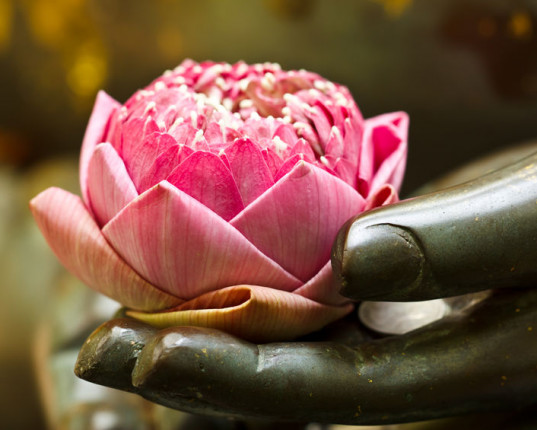 Yoga Sūtra de Patañjali:   Yama, premier membre du yoga