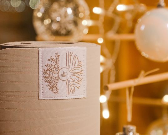 Chin Mudra : C'est Noël avant l'heure !