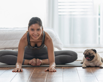 Le yoga avec les animaux : Pourquoi pas ?