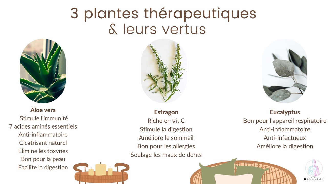 les plantes contre les allergies
