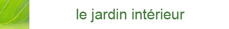 Formation pour Thérapeute - Module 1, 2 & 3