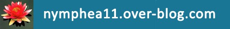 Nymphea11.over-blog.com Améliorer sa vie