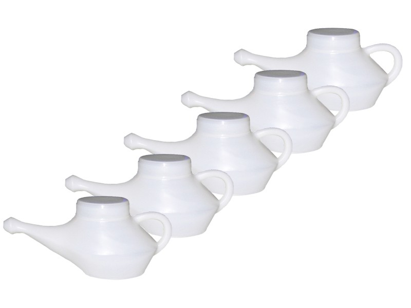 Lot de 24 Lotas de voyage Satguru XL