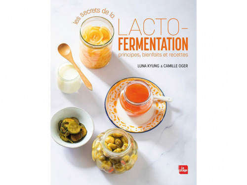 Les secrets de la lacto-fermentation